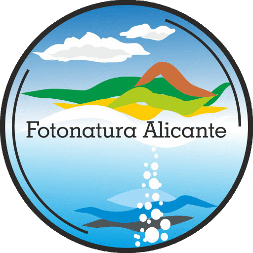 Cropped logo png.png