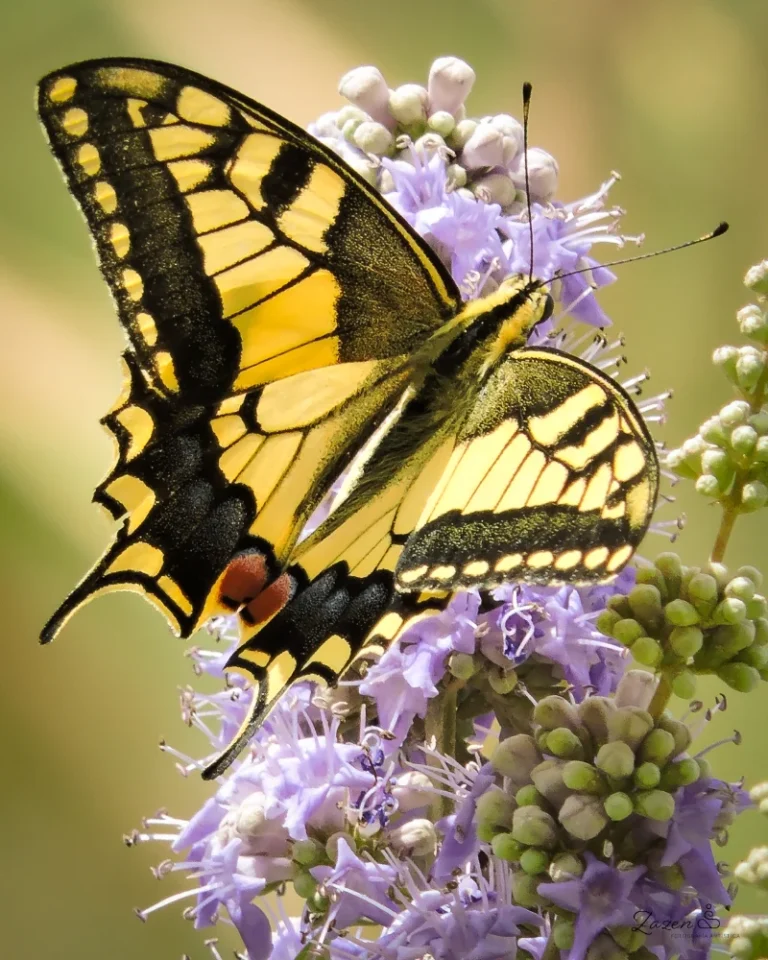 27082017sin título 12