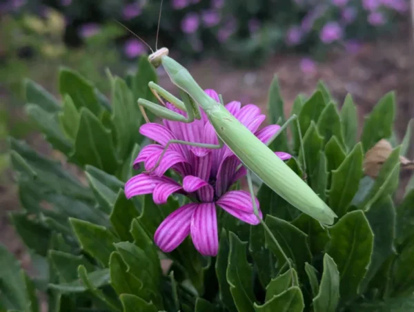 Pxl 20240908 182625380