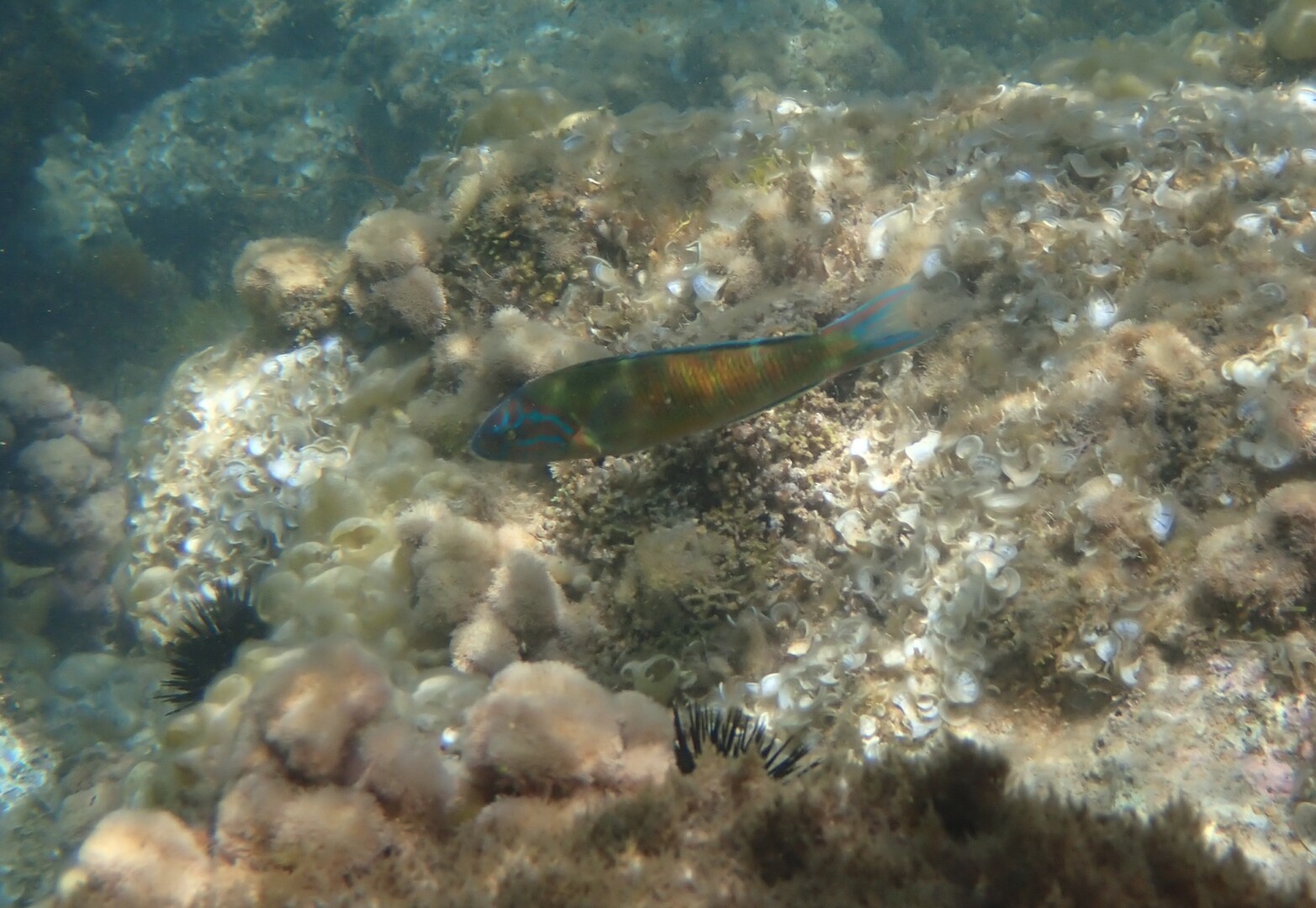 513935155 23984663464532848 6957726267881983186 n