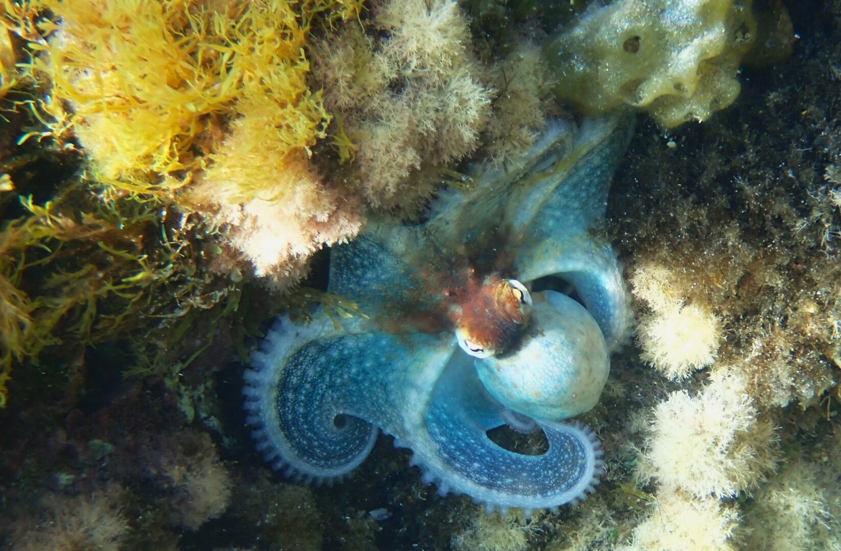 514376719 23990120963987098 6841371038642585869 n