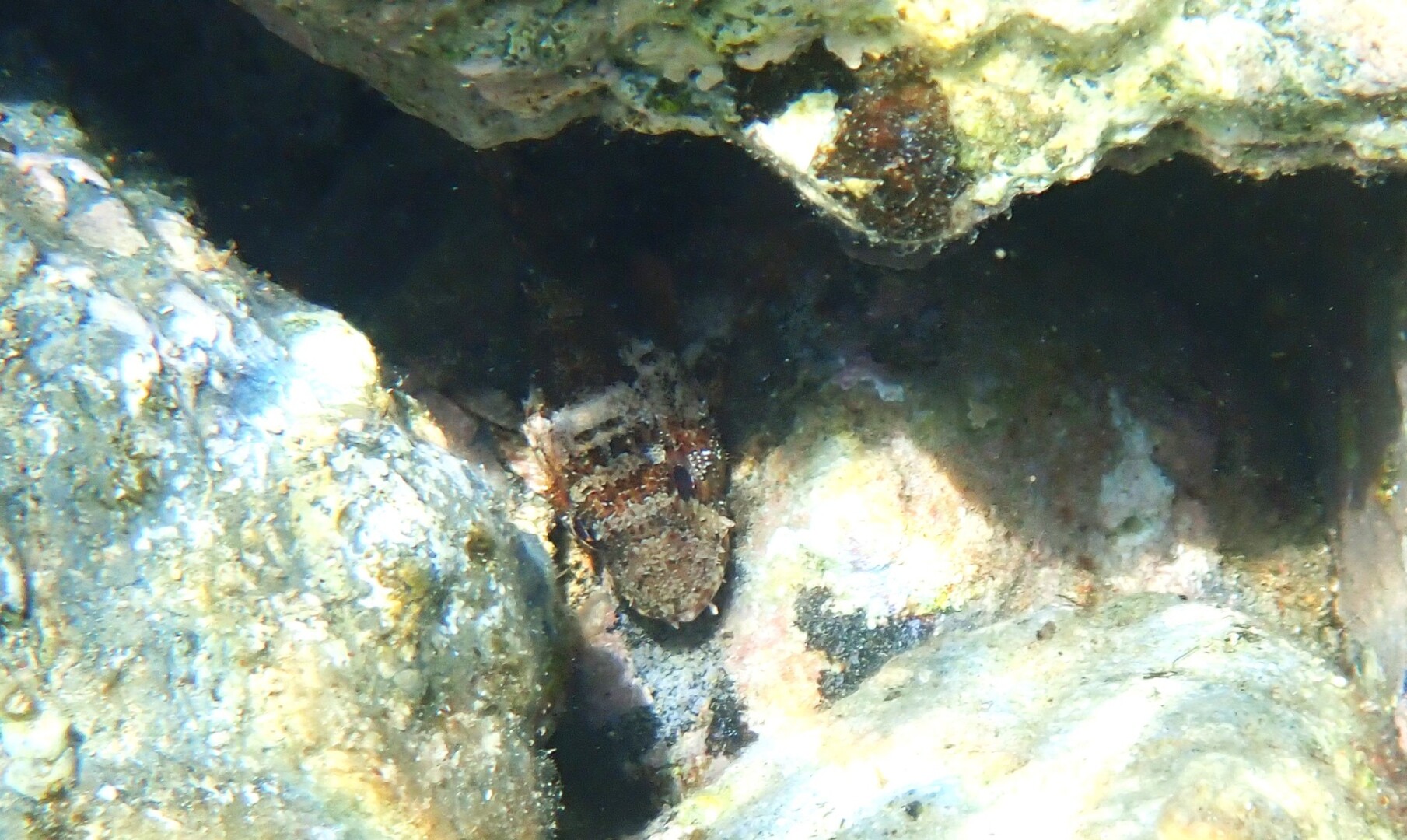 514403575 23990089953990199 3517552034535371718 n