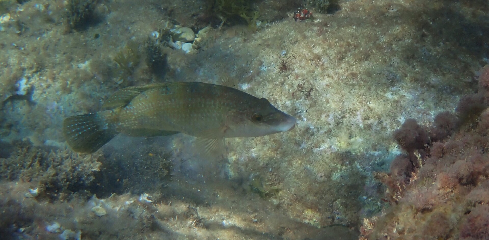 514438576 23984937224505472 501706408564568211 n