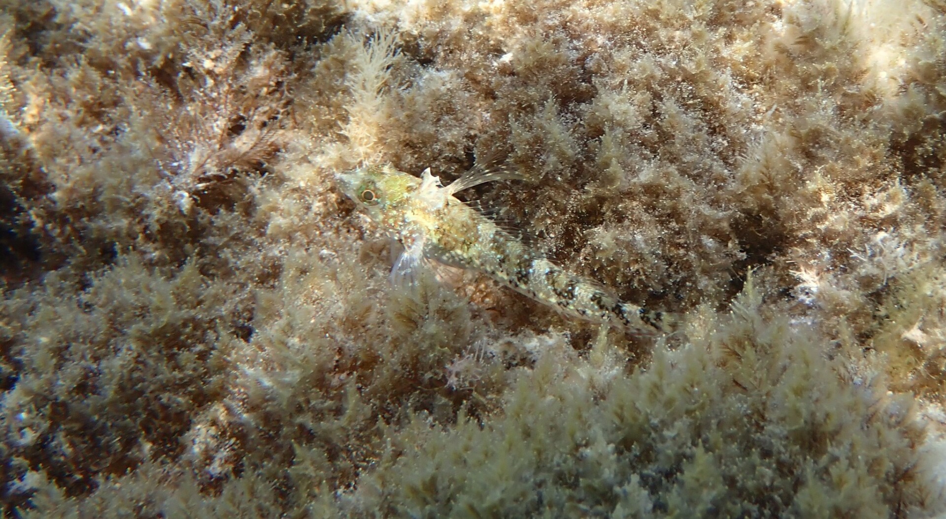 514743659 23984663494532845 297658580773718169 n