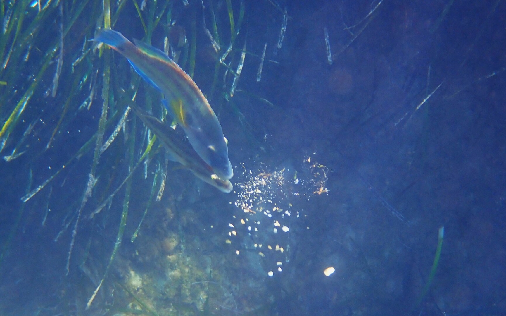 517647531 24042163422116185 5654352297282055578 n