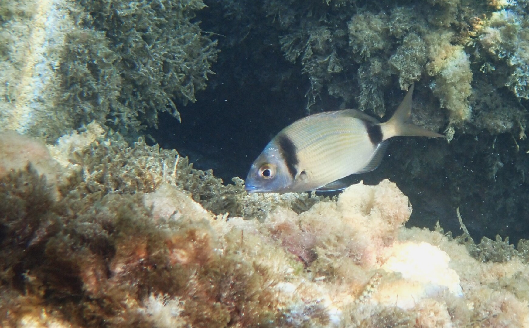 518337799 24104658302533363 3437153099423060875 n