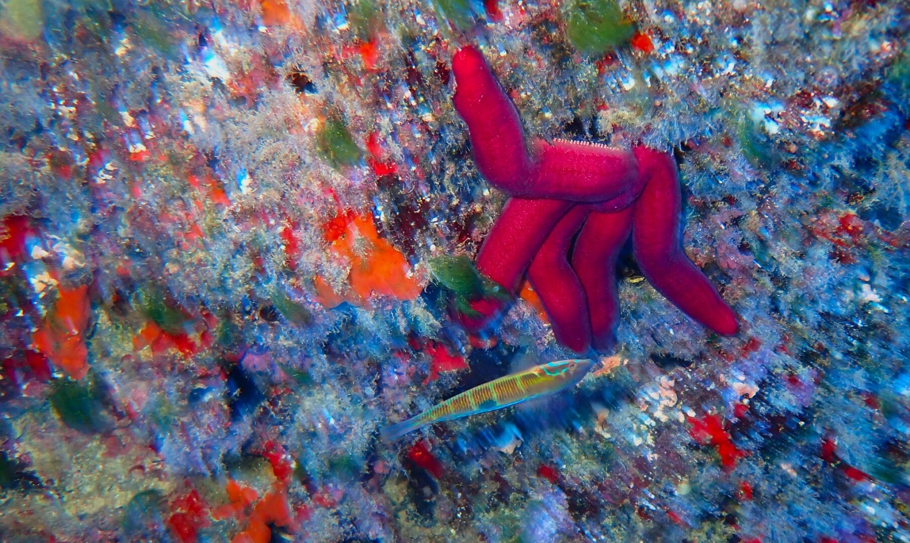 534600796 24358336963832161 3032184925337087059 n