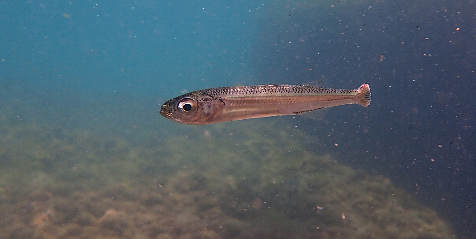 534197035 24375321038800420 4580252119598010112 n