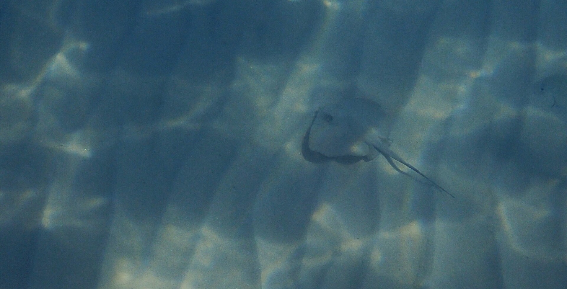 534521011 24375321428800381 8066244065443713020 n