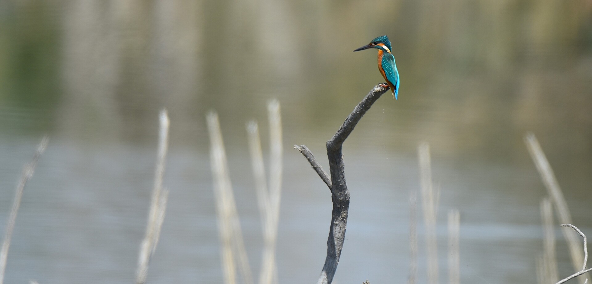 553323410 24660471163618738 8473120035197311692 n