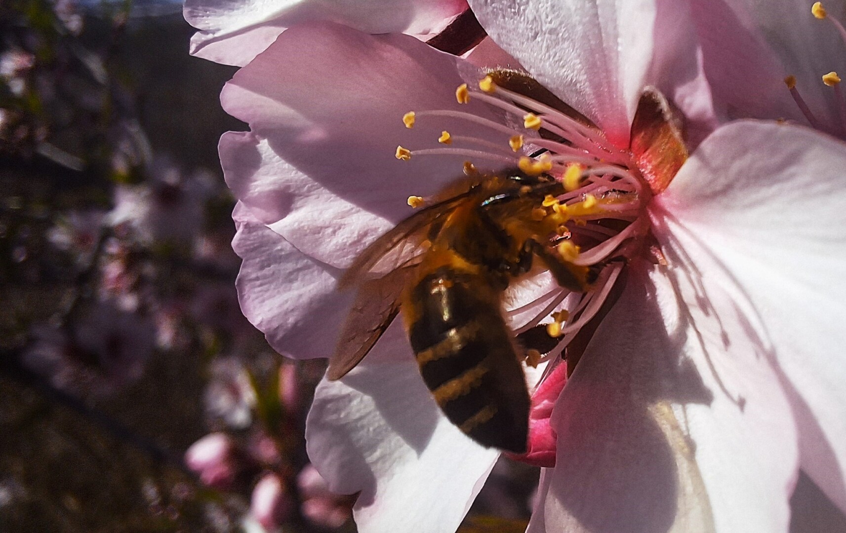 514374876 23980206001645261 8982792774833013073 n