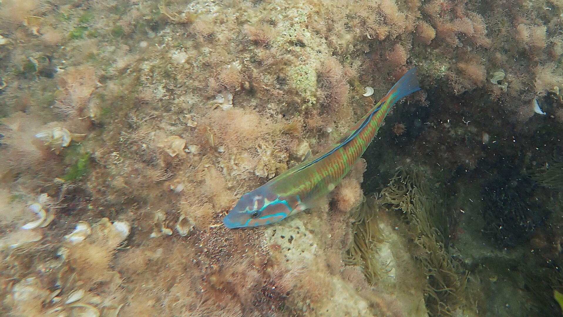 537235798 24400175839648273 2837674194905648787 n