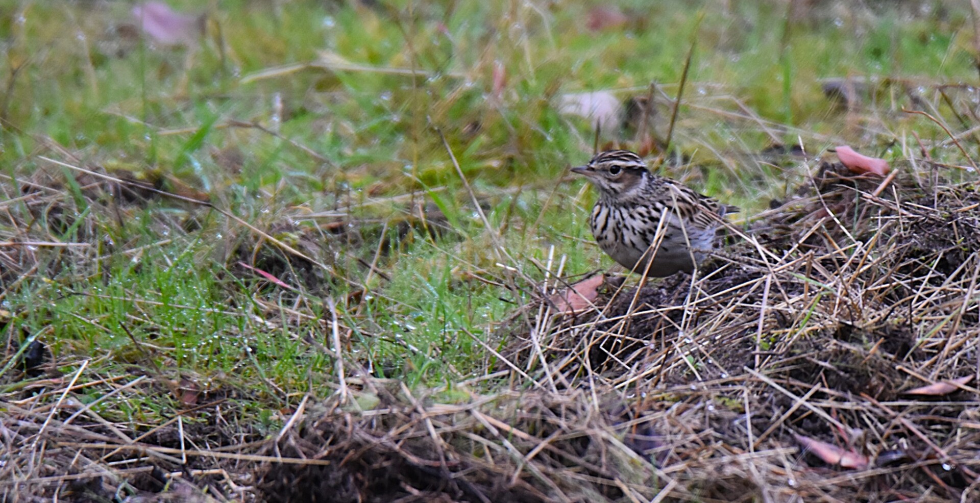 612873364 25621258477539997 4567330847993898557 n