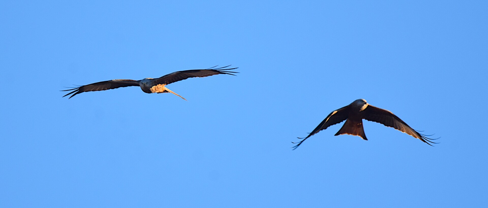 612888126 25621255880873590 8906577149663207775 n