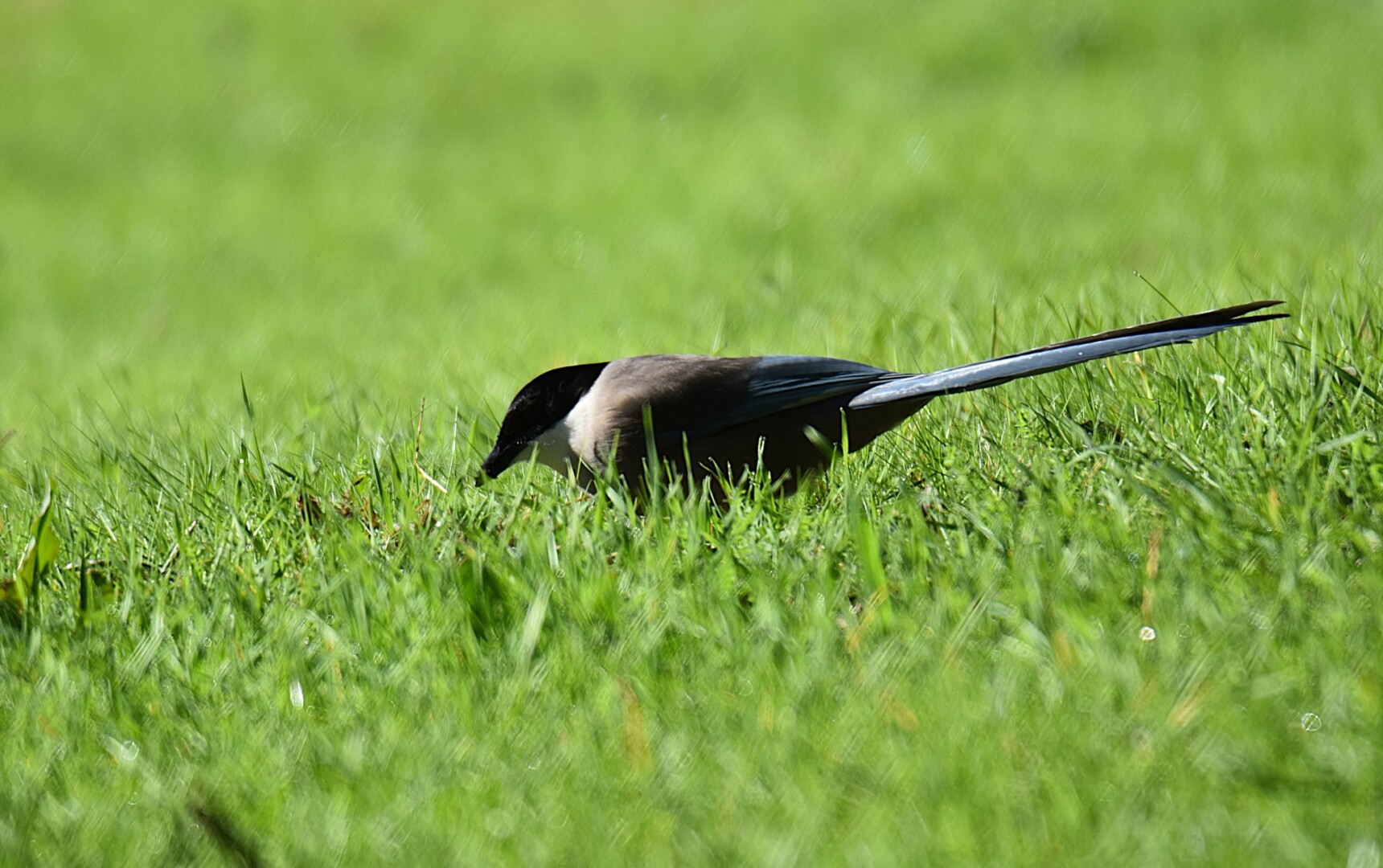 612907575 25621254667540378 6310622076378143459 n