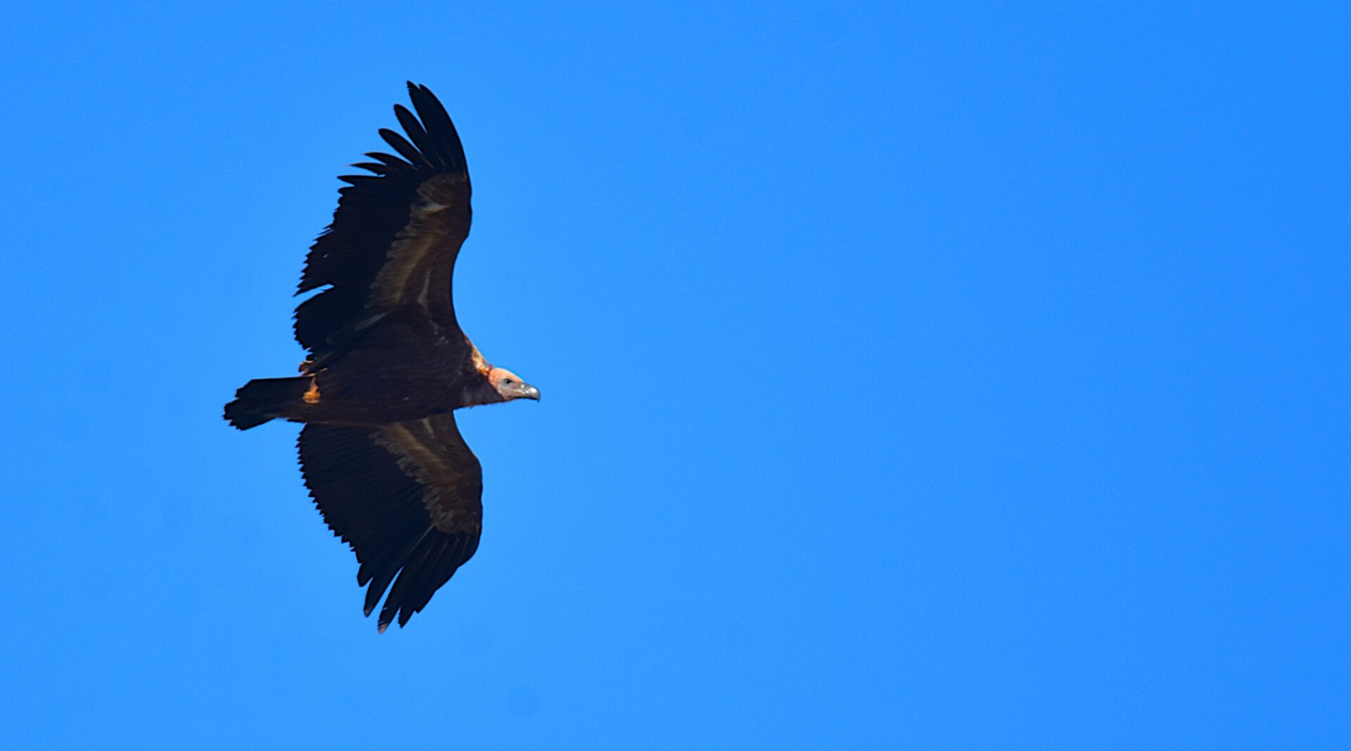 612980907 25621255247540320 402856878319988050 n