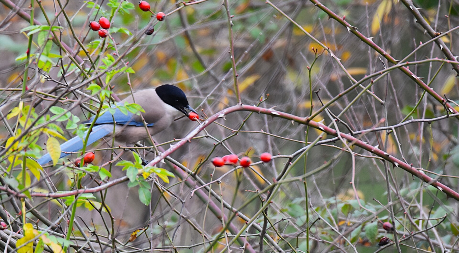 613237693 25621257864206725 8026182569729767058 n