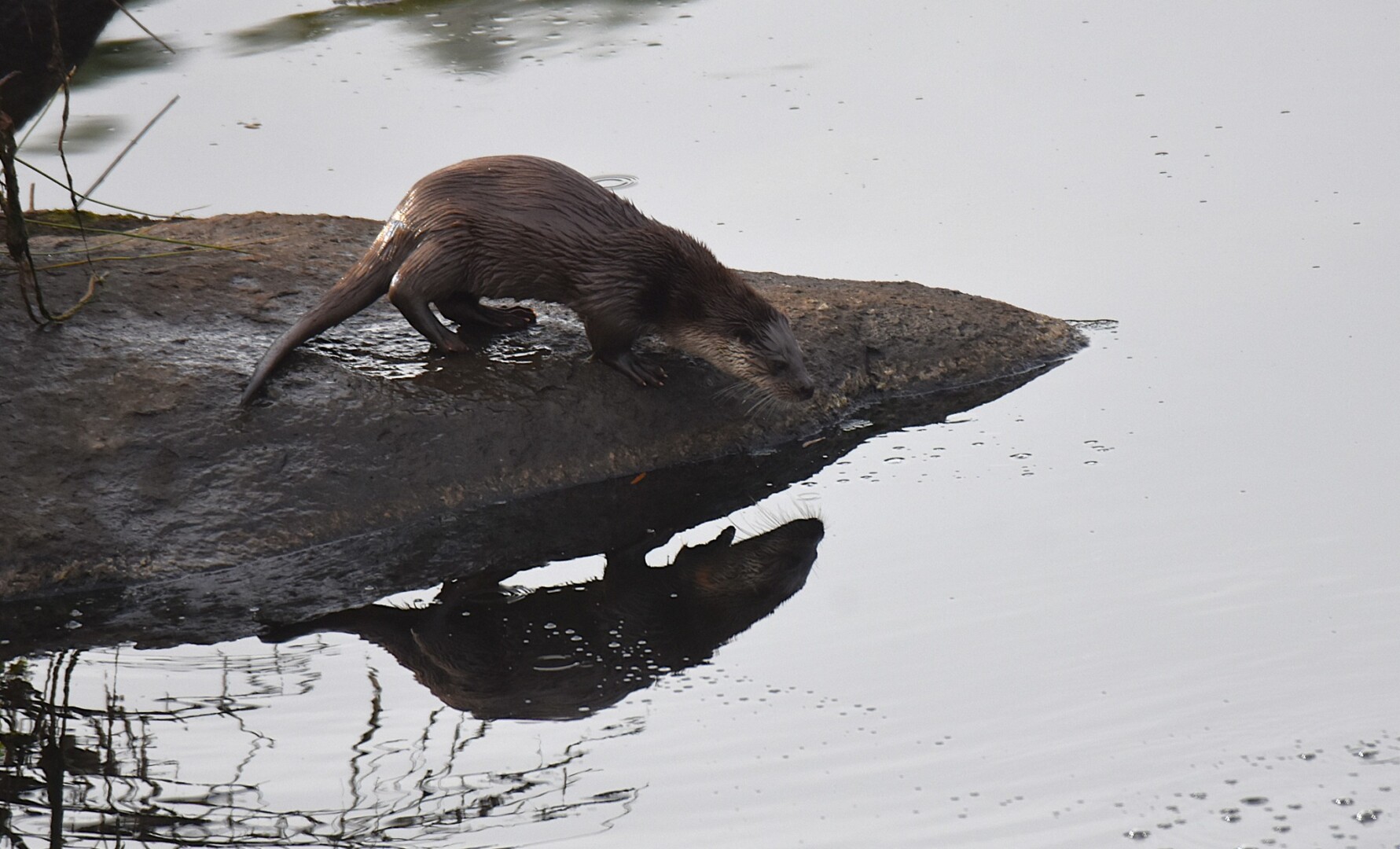 613256882 25621282877537557 1796973220944810302 n