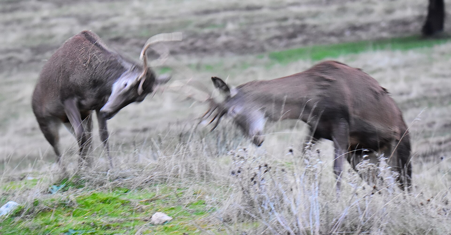 613393861 25621304367535408 4158747662019468782 n