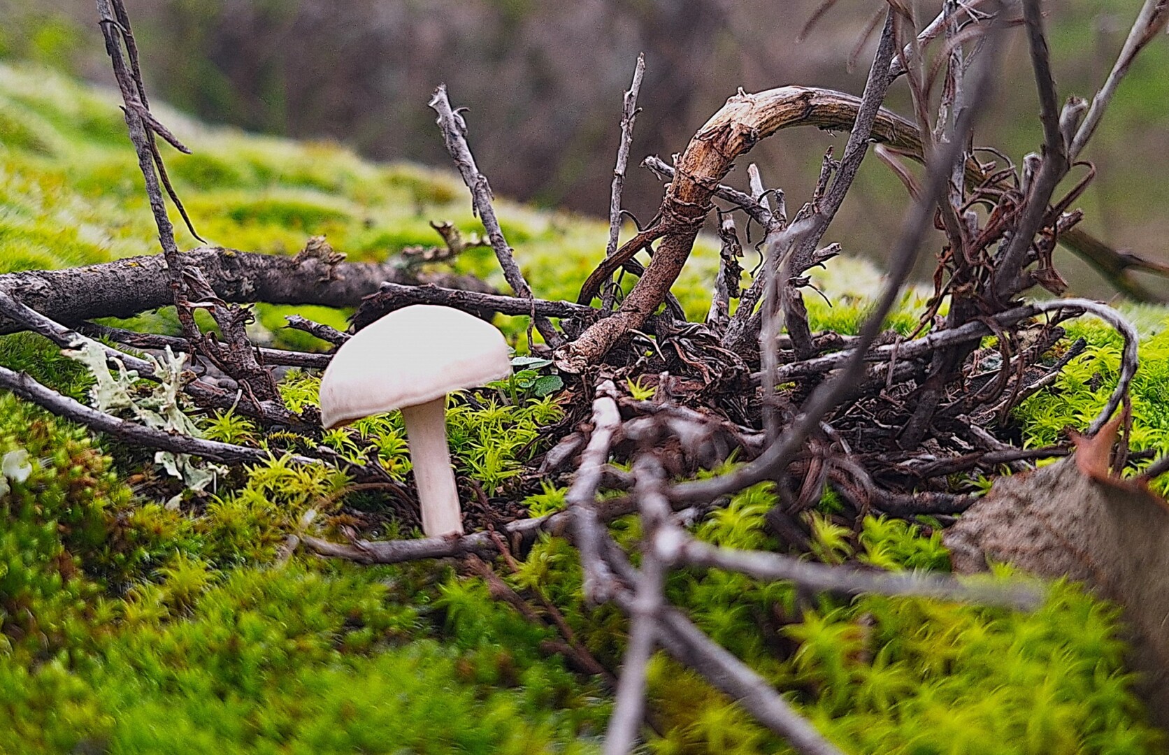 613519263 25621254604207051 6200944084711526802 n