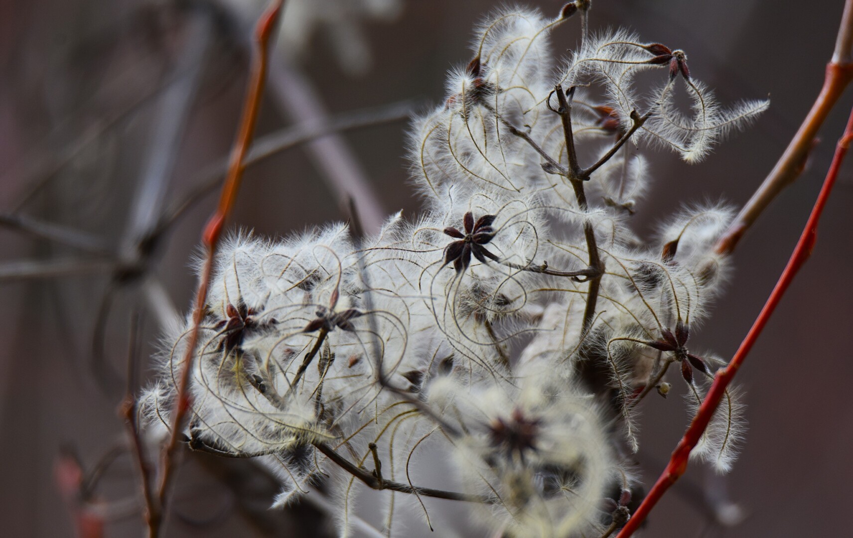 613555480 25621256030873575 5877014155443091612 n