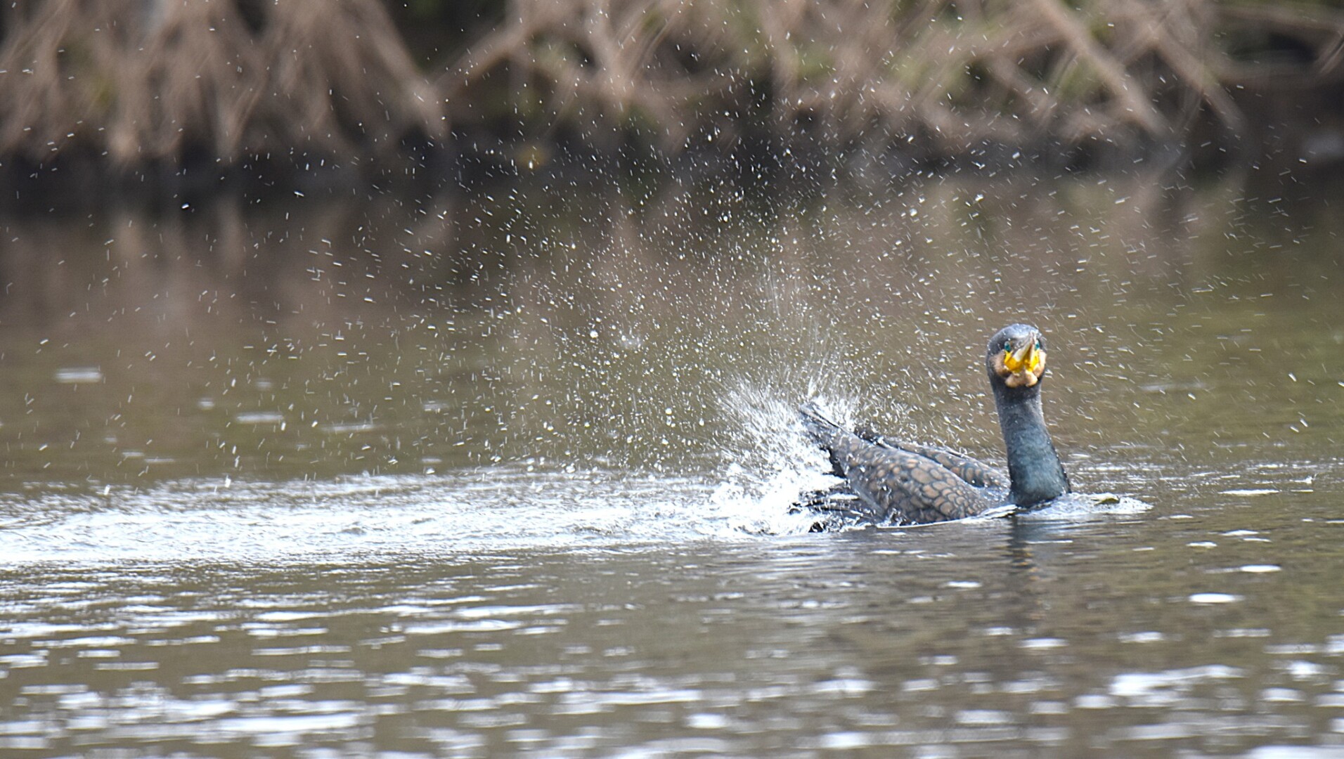 613714495 25621256457540199 8275981945328838953 n