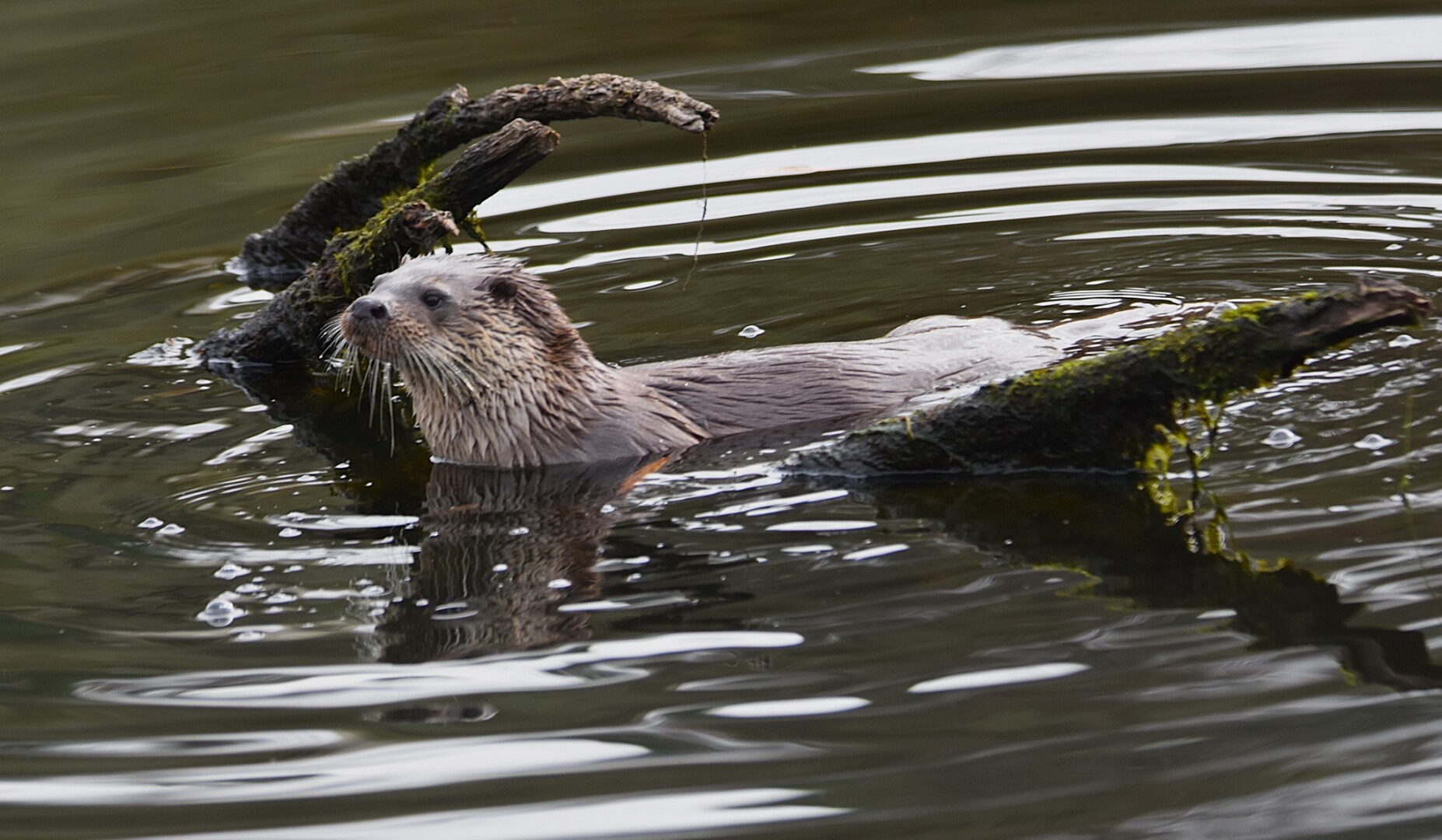 613920796 25621282290870949 4825000081753819377 n