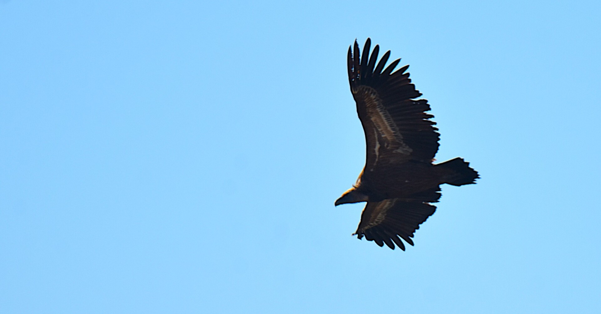 613934101 25621254957540349 6823630363508785284 n