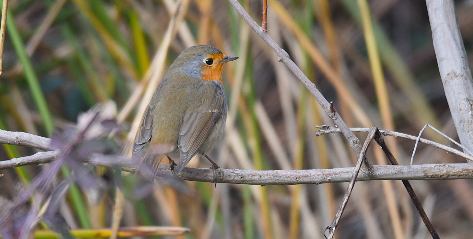 613937643 25621256294206882 1127204068871586707 n